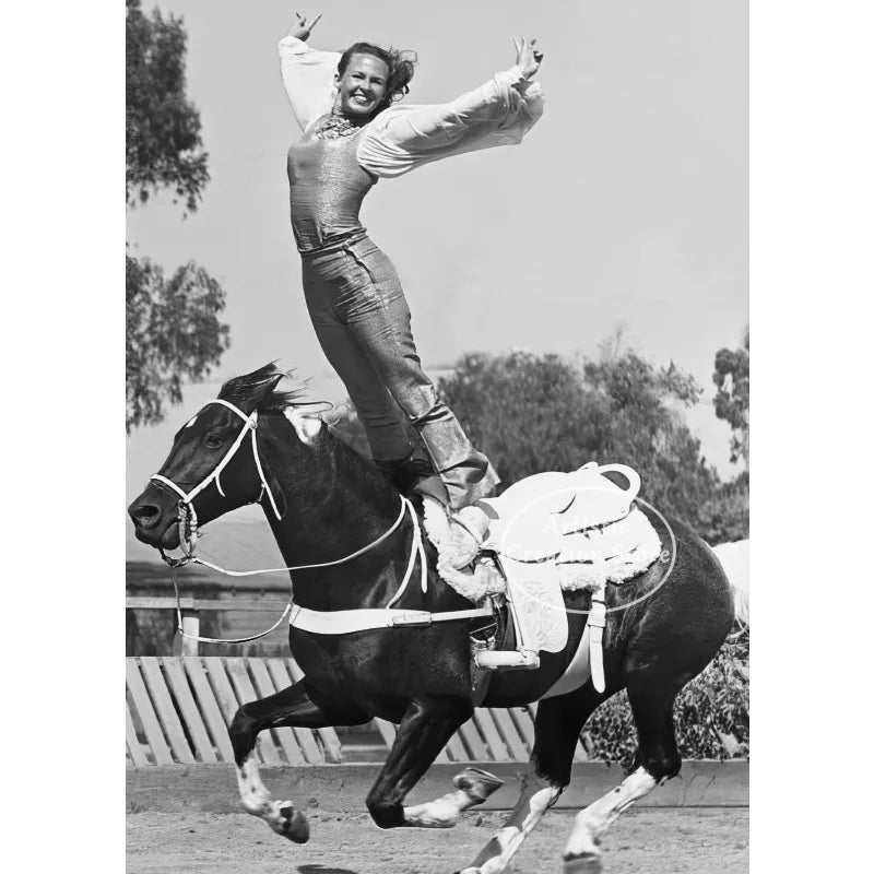 Black and White Polo Sports Black Horse Equestrian Lifestyle Photography Fine Art Poster Canvas Painting Wall Picture Home Decor
