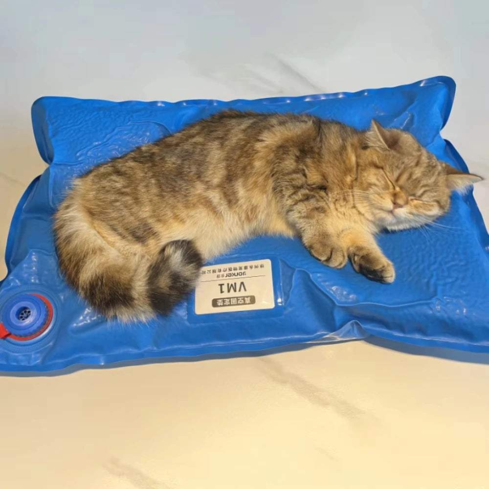 Small Animal Surgical Accessories Pet Vacuum Positioning Mat Veterinary Examination Pad for Pet Care Room