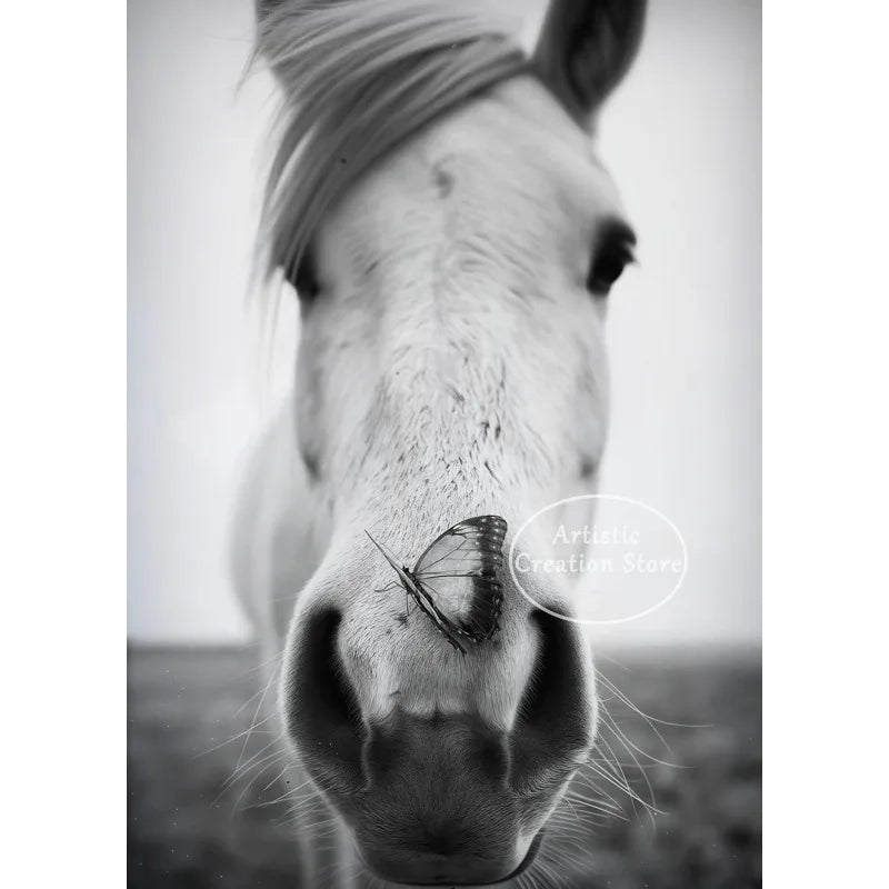 Black and White Polo Sports Black Horse Equestrian Lifestyle Photography Fine Art Poster Canvas Painting Wall Picture Home Decor