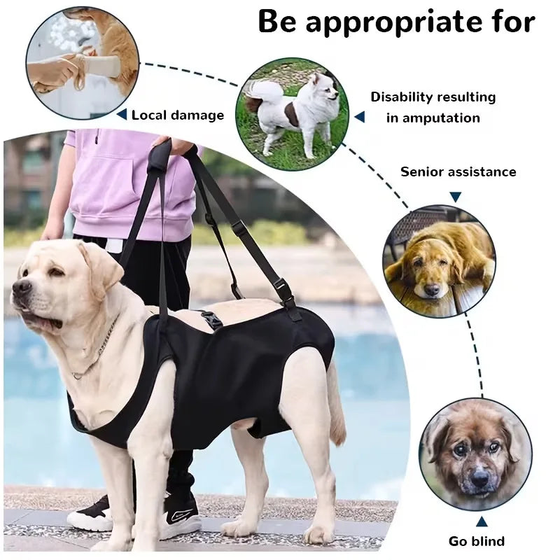 Adjustable Dog Lift Harness Body Support for Injured Elderly And Disabled Dogs Pet Care Supplies with Lifting Straps