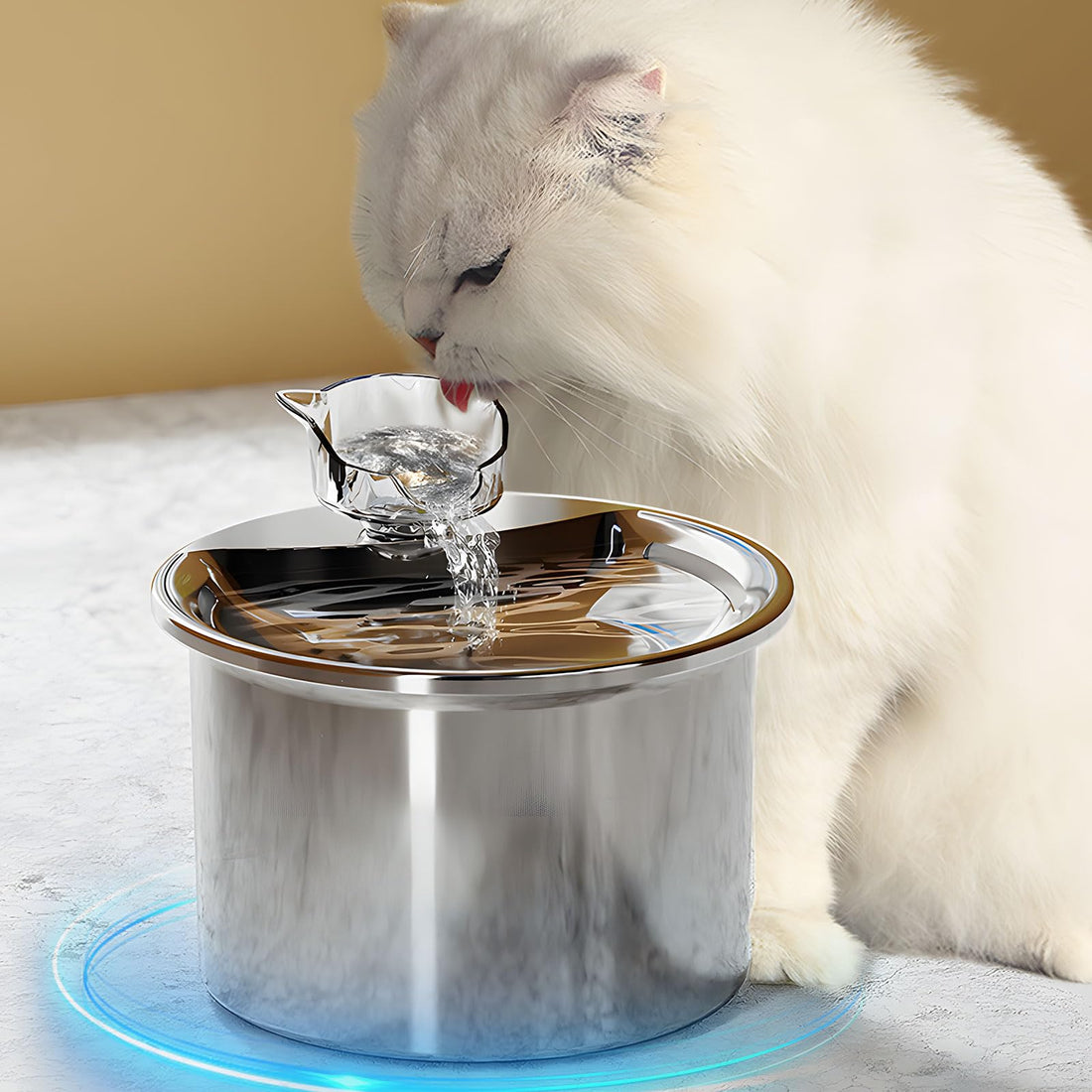 Stainless Steel Cat Water Fountain 67oz Auto Sensor Quiet Pump