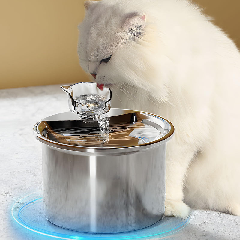 Stainless Steel Cat Water Fountain 67oz Auto Sensor Quiet Pump