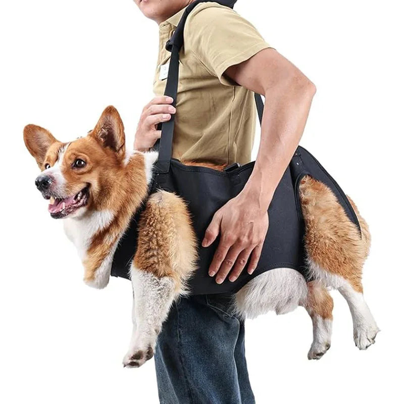 Adjustable Dog Lift Harness Body Support for Injured Elderly And Disabled Dogs Pet Care Supplies with Lifting Straps