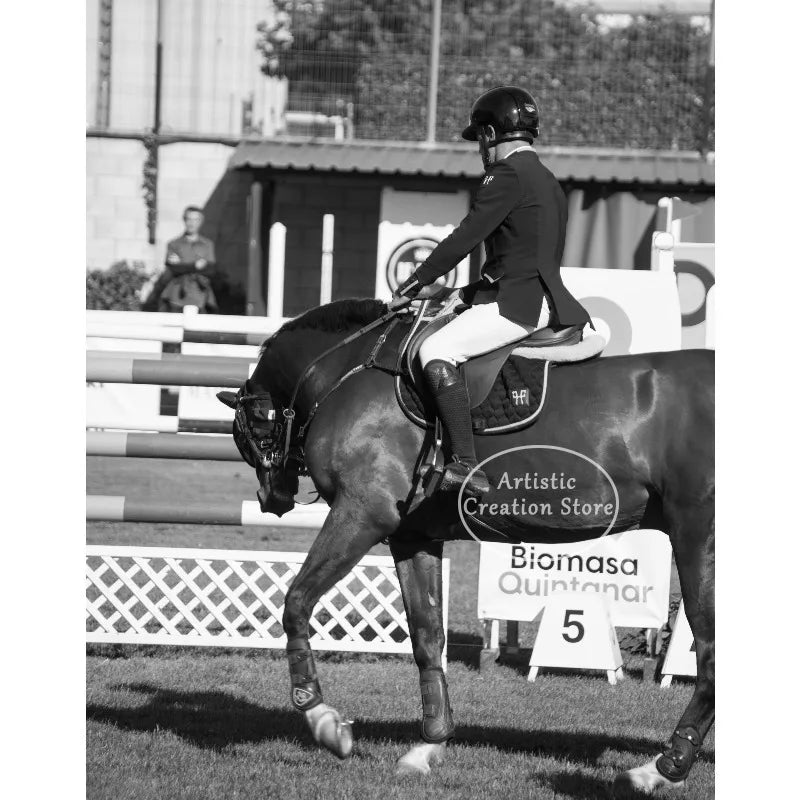 Black and White Polo Sports Black Horse Equestrian Lifestyle Photography Fine Art Poster Canvas Painting Wall Picture Home Decor