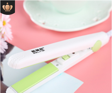 Portable Hair Curler with Hair Clips